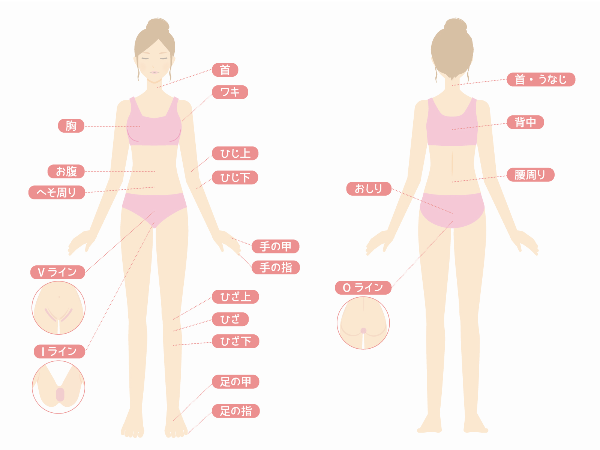 脱毛パーツ